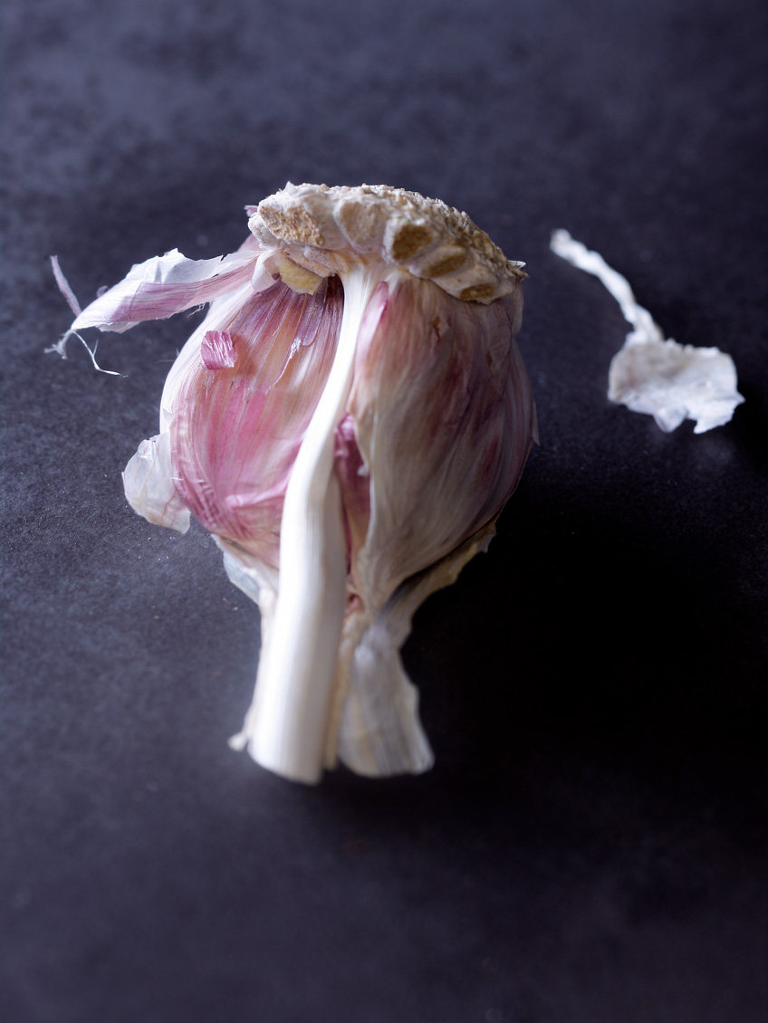 editorial - garlic solo - variationen von knoblauch