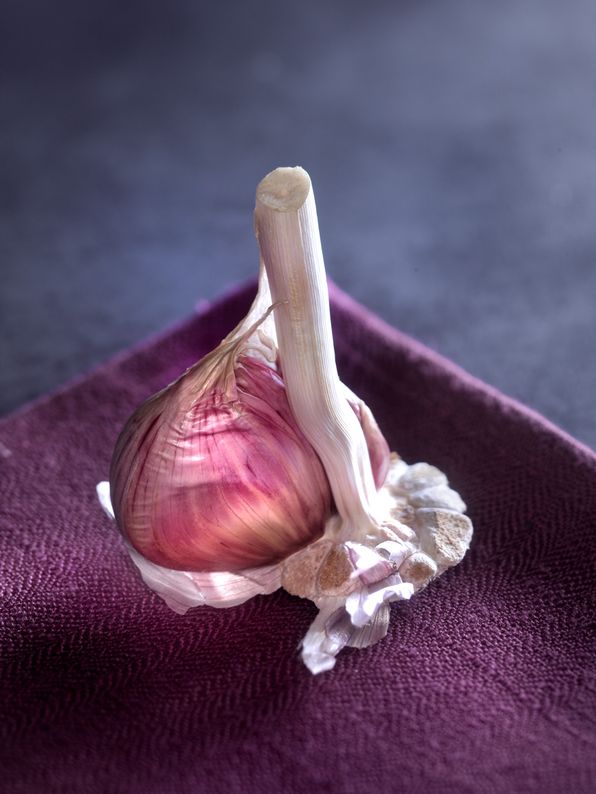 editorial - garlic solo - variationen von knoblauch