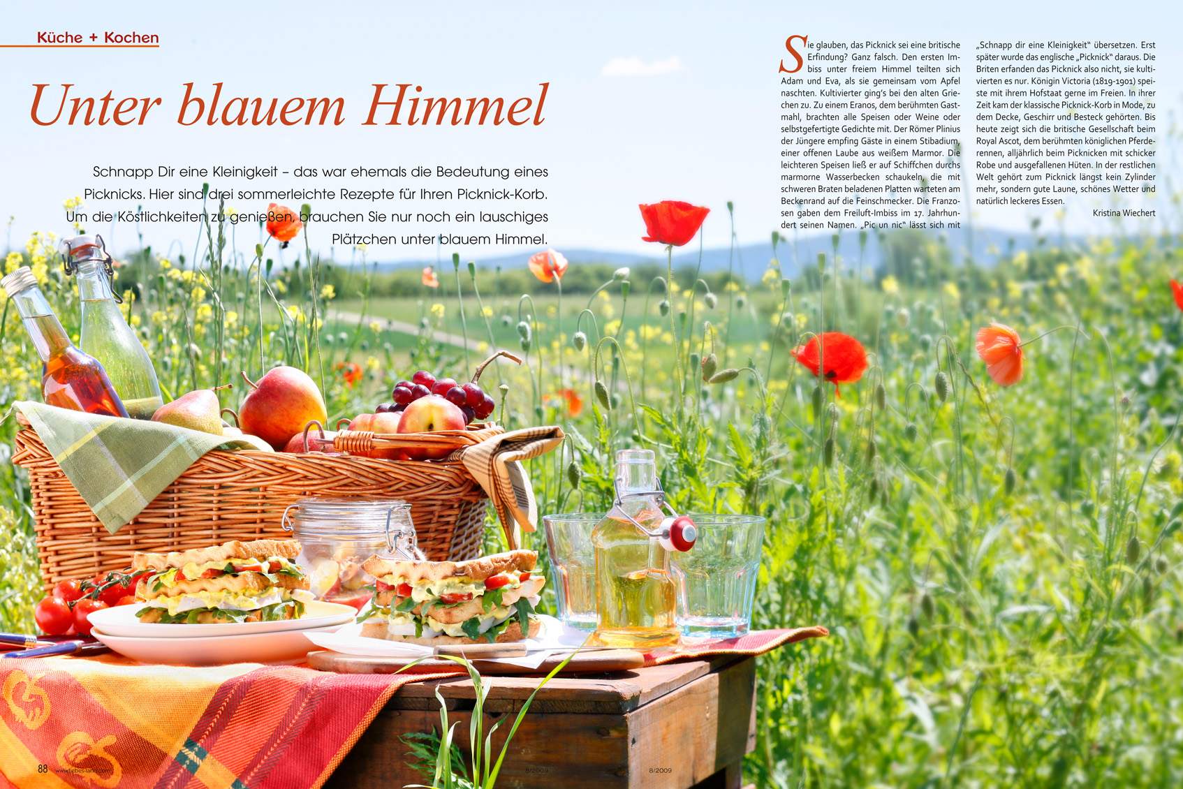editorial - aufmacher - picknick