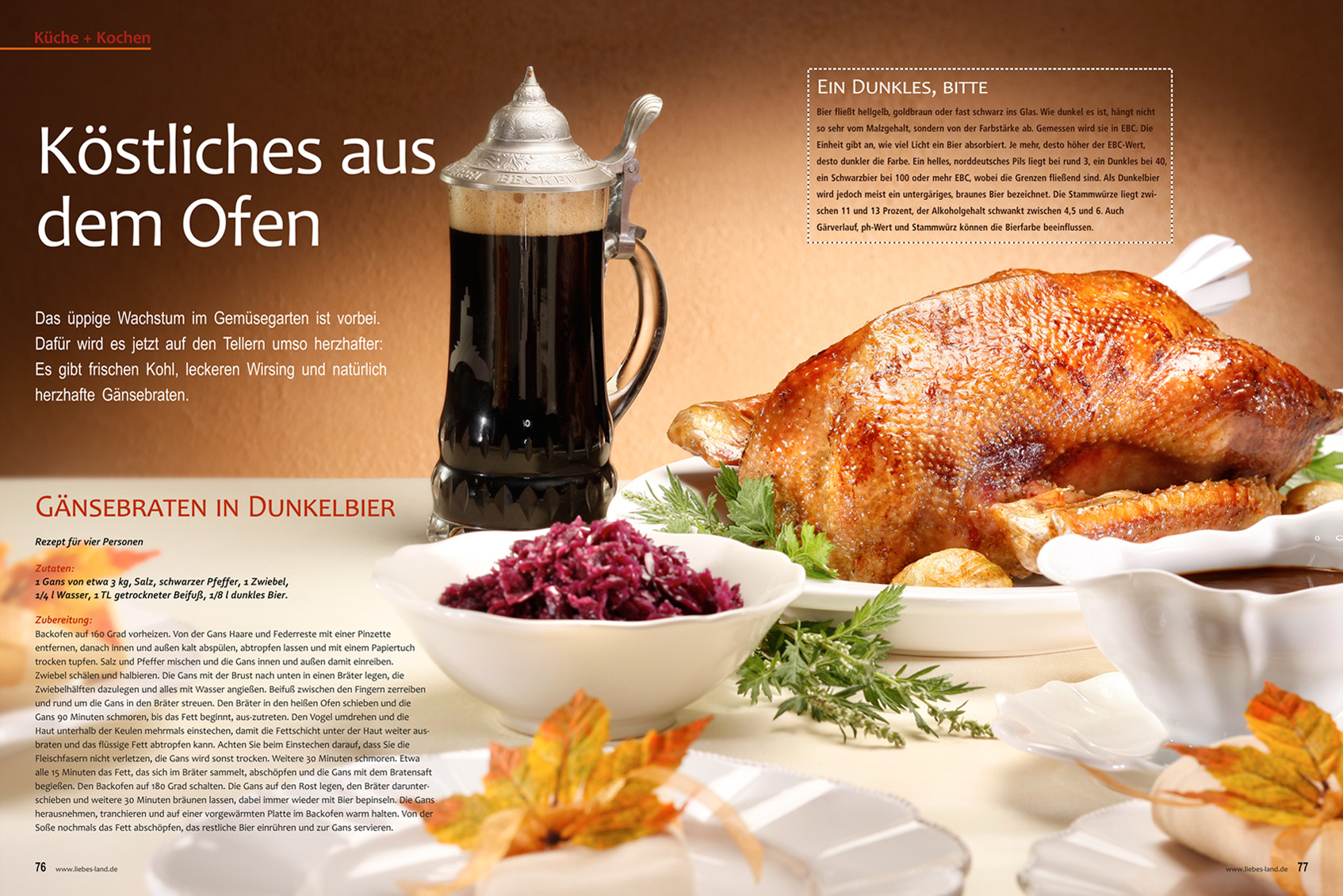 editorial - aufmacher - gebratene gans